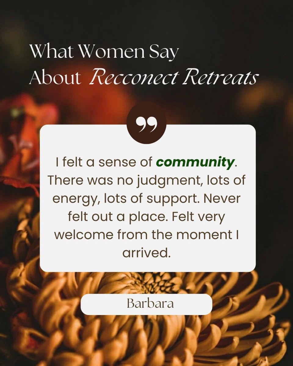Guest review